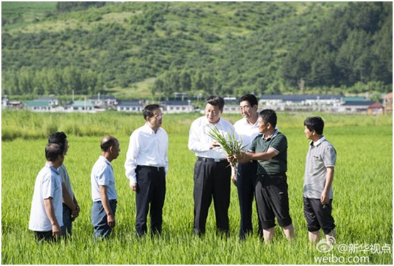 海利集团,长沙杀虫剂,长沙光气衍生物,长沙氨基酸?；ぜ?长沙锂离子电池材料