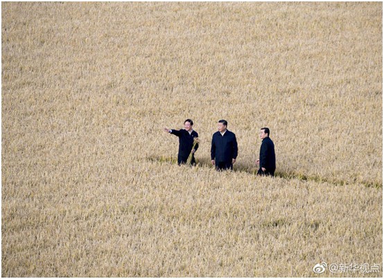 海利集团,长沙杀虫剂,长沙光气衍生物,长沙氨基酸?；ぜ?长沙锂离子电池材料