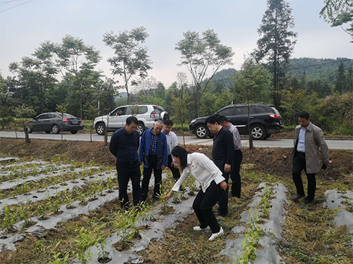 海利集团,长沙杀虫剂,长沙光气衍生物,长沙氨基酸?；ぜ?长沙锂离子电池材料