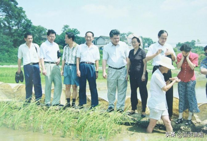 海利集团,长沙杀虫剂,长沙光气衍生物,长沙氨基酸?；ぜ?长沙锂离子电池材料