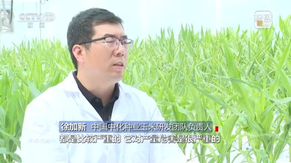 海利集团,长沙杀虫剂,长沙光气衍生物,长沙氨基酸?；ぜ?长沙锂离子电池材料