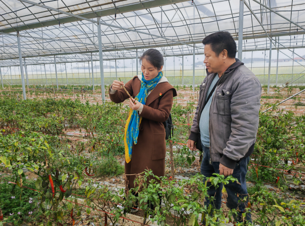 海利集团,长沙杀虫剂,长沙光气衍生物,长沙氨基酸?；ぜ?长沙锂离子电池材料